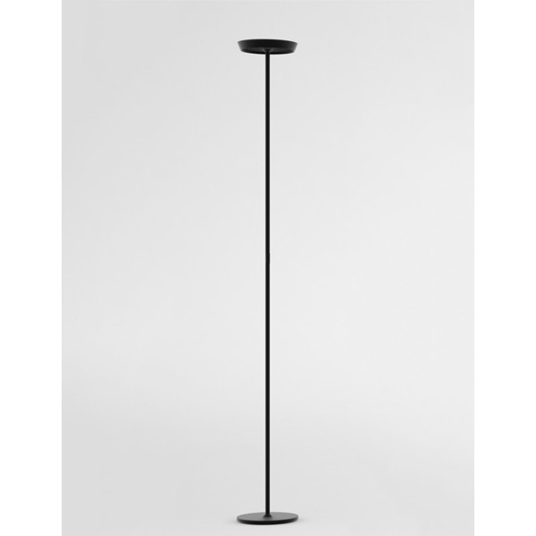 Rotaliana prince F1 piantana led nero opaco