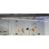 TONDOLED 30 W DI LATO ACCESO