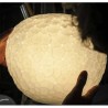 Artemide Meteorite sospensione 35 alogena 150W